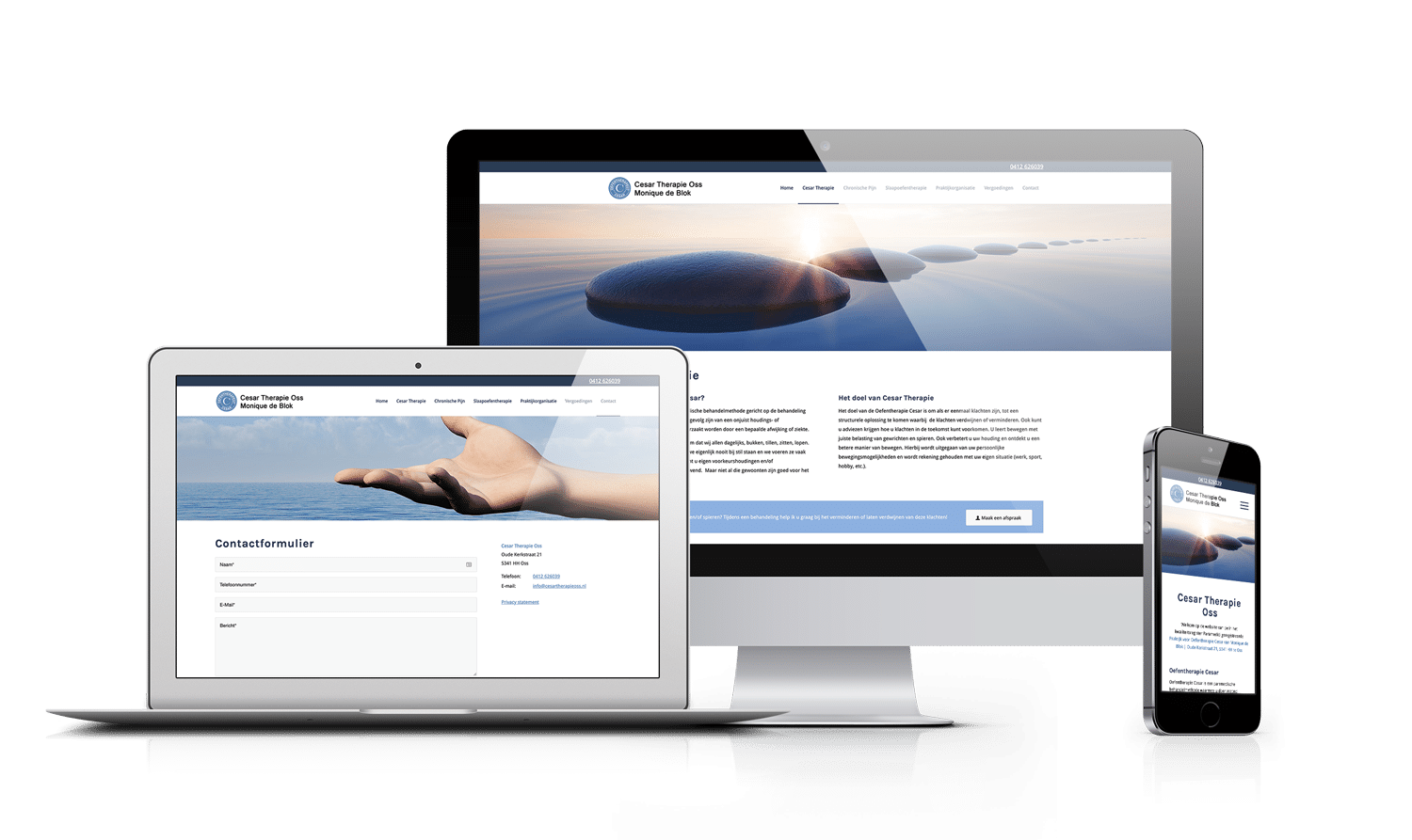WordPress website Oss