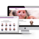 De Varkenspraktijk website